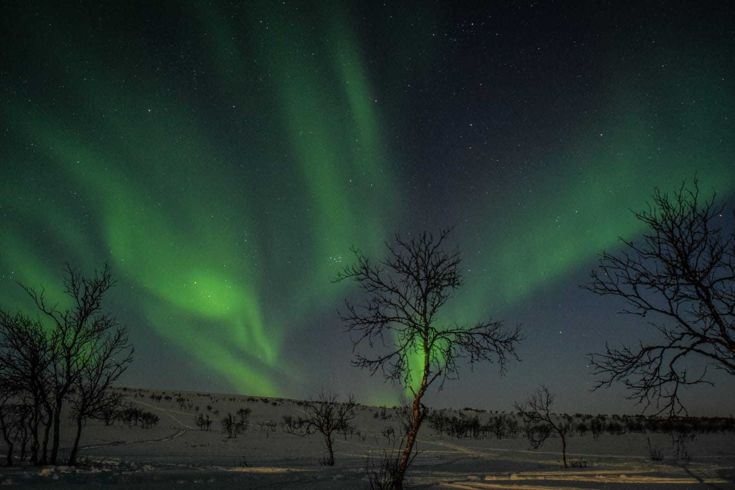 Northern lights over Lapland